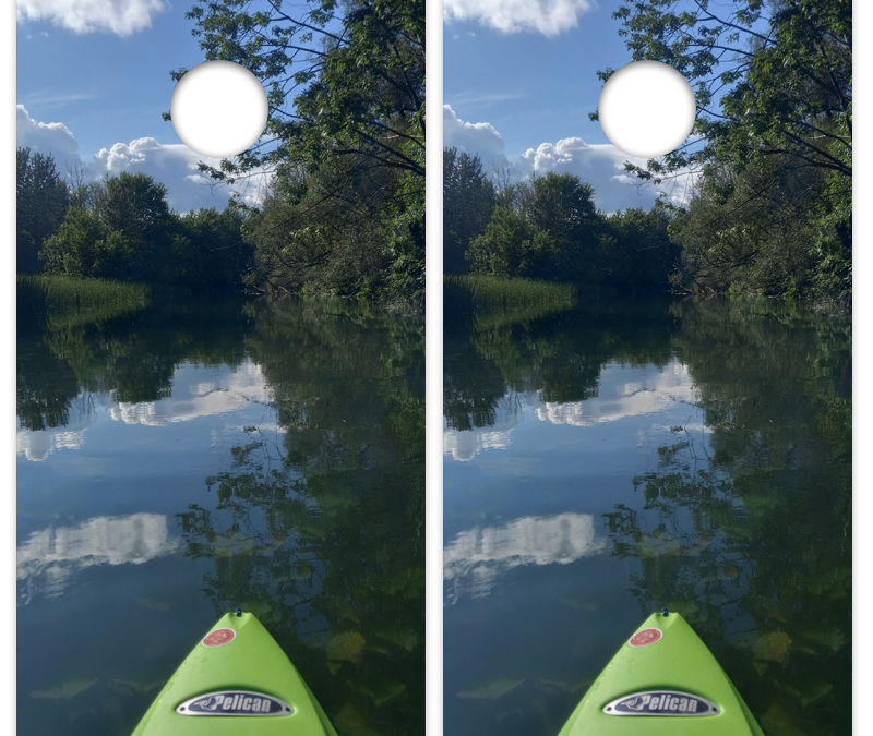 Kayak and Tree