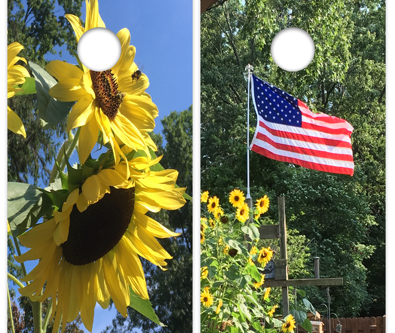 Sunflowers Flag