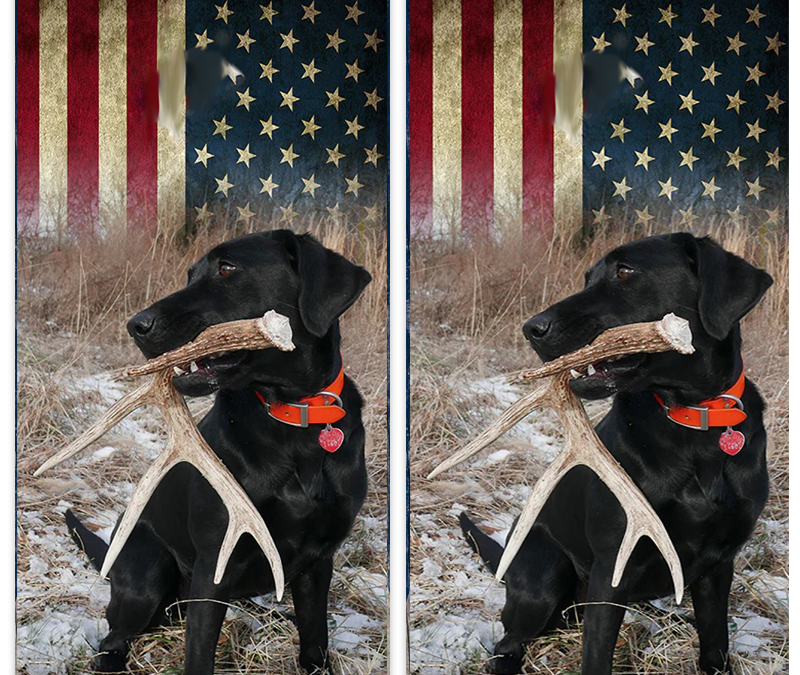 Black Lab Flag