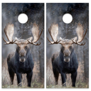 Bull Moose