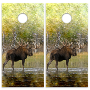 Bull Moose 2