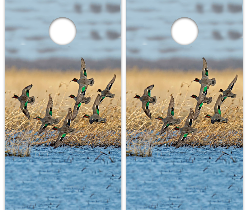 Ducks