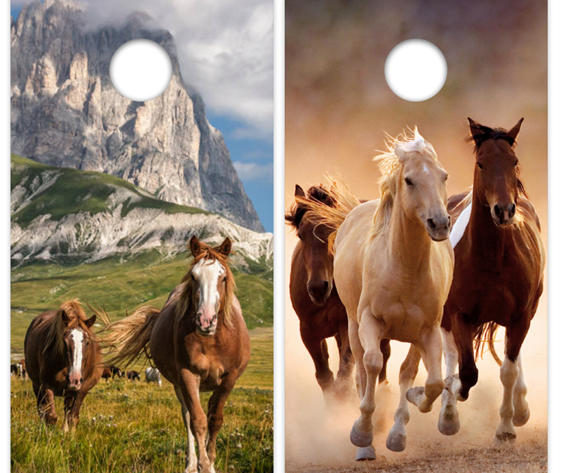 Horse
